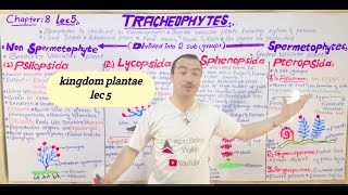 TracheophytesfullLecture5 seedless vascular plants subdivisions Non spermatophytes in Urdu Hindi [upl. by Hauck]