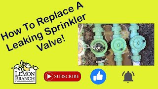 Sprinkler Valve Replacement [upl. by Nylad]