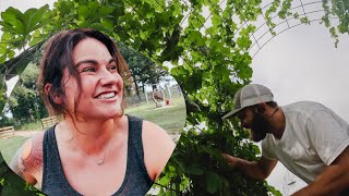 Working at Roots and Refuge Farm gardening and homesteading  VLOG [upl. by Assiralc]