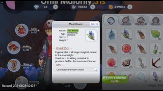 F2P Ragnarok X New Generation Tips  How to earn crystals fast through Gardening ROX [upl. by Tamqrah]