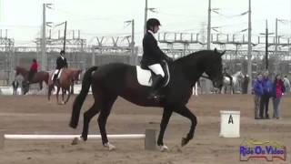 Beginner Novice Dressage Test [upl. by Monique]