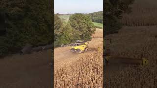 🌽🌽Maize harvesting 🌽🌽youtubeshorts agriculture farming newholland lover [upl. by Akihc572]