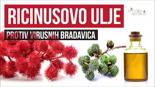 Ricinusovo ulje za Lečenje Virusnih Bradavica [upl. by Ahtnamys]