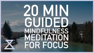 20 Minute Guided Meditation for Focus [upl. by Thetes]