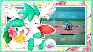 LIVE Shiny Shaymin in Platinum after Only 423 RAs Sky Form Exhibition [upl. by Rephotsirhc137]