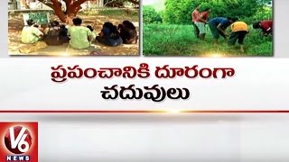 Special Story On Vikasa Vidya Vanam School In Vijayawada  Nature School  V6 News [upl. by Sell947]