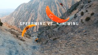 Speedwing VS Miniwing Flight [upl. by Blackstock222]