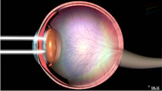 Structure and Working of Human Eye [upl. by Alcott]