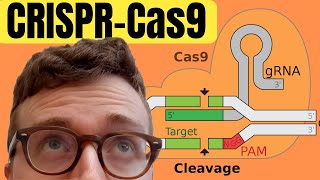 Introduction To CRISPRCas9 [upl. by Nomyt]