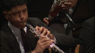 Hamlet Oboe Solo Tchaikovsky [upl. by Guyon]