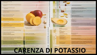 CARENZA DI POTASSIO [upl. by Ydnar]