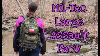 Gear Review MilTec Large Assault Pack 36L [upl. by Saks]