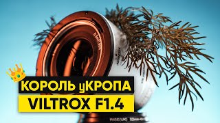 VILTROX 23MM F14 Кроп на дешевом БЗК [upl. by Hartmunn]