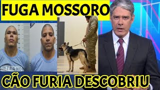 FUGA DE MOSSORÓ CÃO FURIA ENCONTRA FORAGIDOS [upl. by Anoyk]