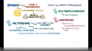 Opioid agonists mixed agonist antagonists and partial agonist Pharmacology [upl. by Yaresed564]