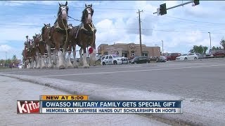 Budweiser Clydesdale deliver special gift to Owasso military family [upl. by Gutow]