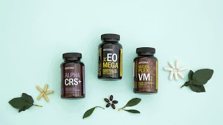 Dr Ruth Dempsey doTERRA Lifelong Vitality Pack LLV [upl. by Gibbie837]