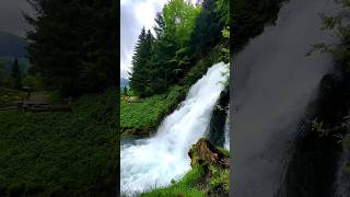 lovely nature  beautiful waterfall [upl. by Bannon]