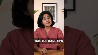 Cactus Care Tips How to save your dying succulents gardenup cactus shorts [upl. by Karissa]