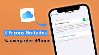 3 Minutes Sauvegarder son iPhone Guide complet [upl. by Merfe445]