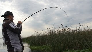 Bass Punching Basics Ft Mark Lassagne [upl. by Kiah]