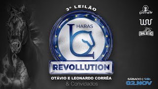 1º Leilão Haras Evollution e Convidados [upl. by Ised871]