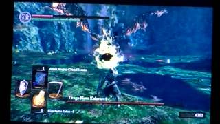 Dark Souls DLC Come tagliare la coda al drago nero Kalameet [upl. by Wu]