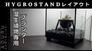 湿生植物専用プランターHYGROSTANDと無線ポンプPATH⌒PUMPでレイアウトしてみた [upl. by Lisa]