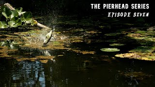 SLOW MOTION Topwater Frog Blowups  The Pierhead Series Ep 7 [upl. by Gilleod]