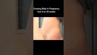 Growing belly in pregnancy from 8 weeks to 35 weeks changes in body during pregnancy shortsfeed [upl. by Omik35]