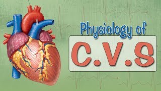 Easy Physiology  CVS  ECG 1Introduction amp ECG Leads [upl. by Arrat]