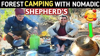 Forest Camping in Very Deep Forest in Himachal Pradesh Winter Camping With Himalayan Shepherds [upl. by Itsirc34]