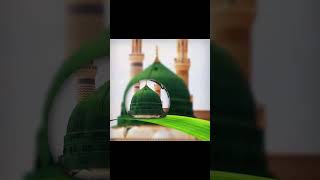 shorts naat viral madina islamicshorts islamicstatus islamicvideo youtubeshorts shortvideo [upl. by Ahsaelat]