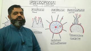 Types of Pseudopodia English medium profmasoodfuzail Pseudopodia  Anatomy of Pseudopodia [upl. by Idnek345]