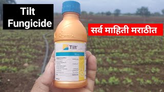 Tilt fungicide uses marathi  टिल्ट बुरशीनाशक  propiconazole 25 ec uses  a2afarmingmarathi [upl. by Essirehs]