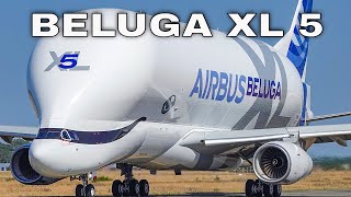 New AIRBUS BELUGA XL  Beluga XL5  First Flight at Toulouse Blagnac Airport [upl. by Erdrich]