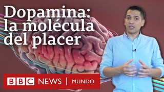 Cómo funciona la dopamina el neurotransmisor que nos da la felicidad y también nos la quita [upl. by Lari]