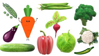 Vegetables Names  सब्जियों के नाम  Vegetables in Hindi and English [upl. by Namqul]