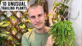 10 Unusual Trailing Houseplants [upl. by Irrehs]