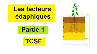 Les facteurs édaphiques tronc commun BIOF  Partie 1 [upl. by Nauaj]