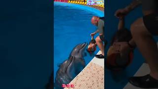 Dolphin 🐬 fish beautiful moment shortsfeed dolphin youtubeshorts [upl. by Eceertal]