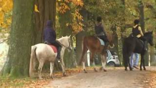 Herbststimmung am Ponyhof Schulze Schleithoff im Münsterland [upl. by Addiel86]