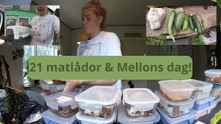 En Fullspäckad Dag Trädgård Kattunge amp 21 Matlådor med Mellon 🌱🐾🍱 [upl. by Ario]