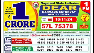 Lottery Result Today 1pm 16112024  Official  Sikkim Lottery [upl. by Kcerb]