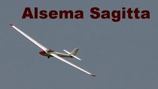 Alsema Sagitta 4m scale RC glider Reichard Modelsport 2018 [upl. by Traci]