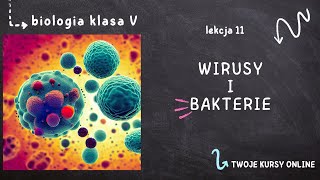 Biologia klasa 5 Lekcja 11  Wirusy i bakterie [upl. by Dnomasor]