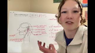 Cranial Nerve Media Assignment Glossopharyngeal Nerve [upl. by Retep]