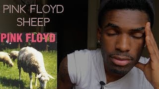 FIRST TIME LISTENING TO  Pink Floyd  Sheep  REACTION [upl. by Junius217]