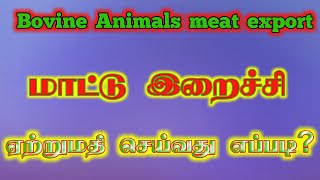 Buffalo meat export from india  beef export  எருமை மாட்டு இறைச்சி ஏற்றுமதி  Gokul Export [upl. by Eldred]