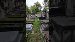 ASMR walk in Graveyard  Headstone Crow cry Cimetière de Montmartre Montmartre Cemetery S663✝️ [upl. by Aon]